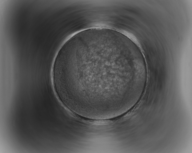 X0000090491440200707201529