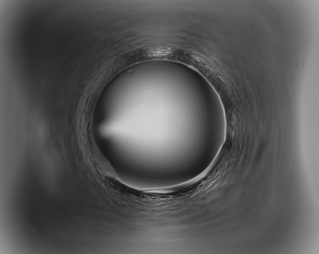X0000090491441200707201529