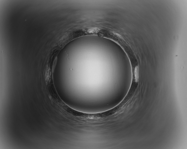 X0000090491443200707201529