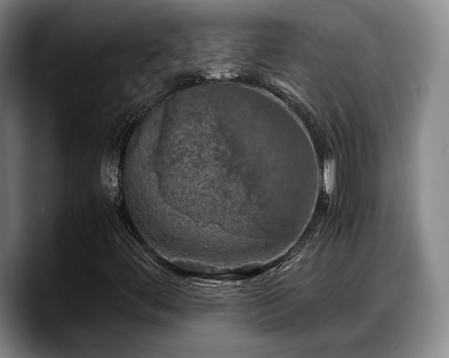 X0000090491444200707201529
