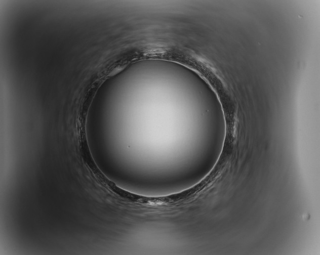 X0000090491445200707201529