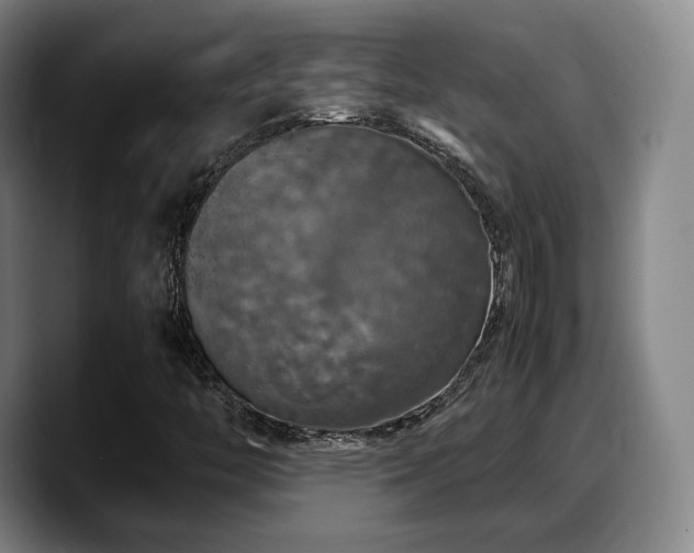 X0000090491446200707201529