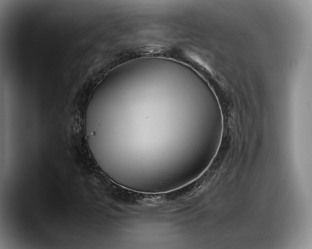 X0000090491447200707201529