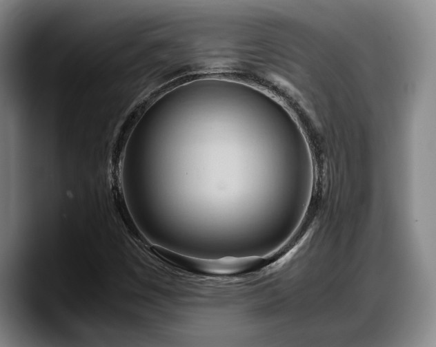 X0000090491449200707201529