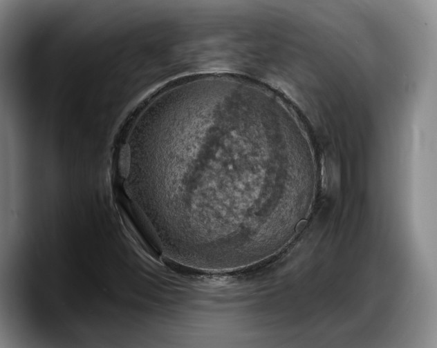 X0000090491452200707201529