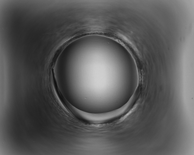 X0000090491453200707201529