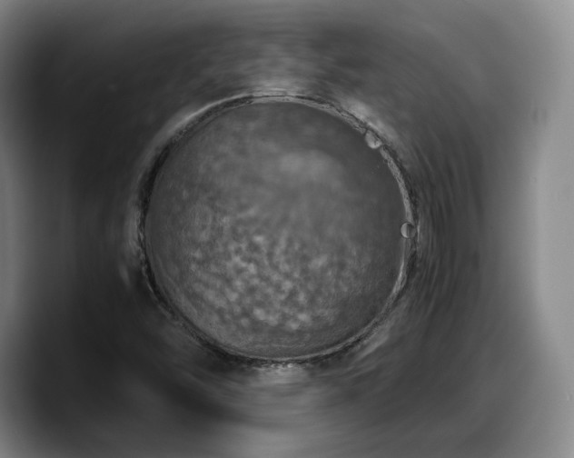 X0000090491454200707201529