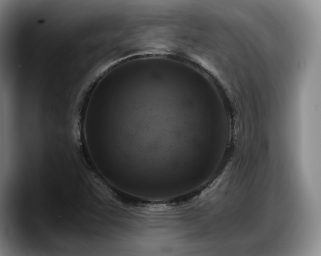 X0000090491455200707201529