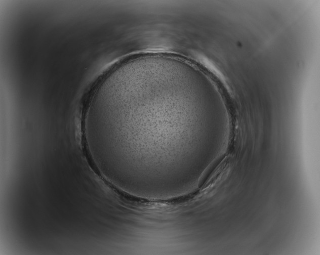X0000090491456200707201528