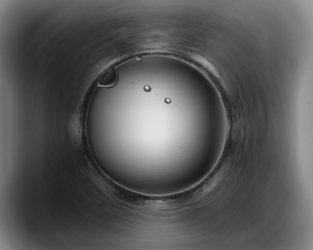 X0000090491458200707201528
