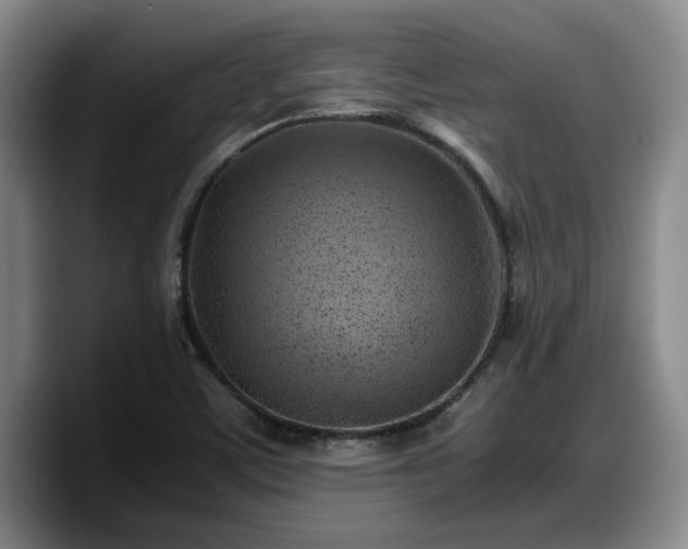 X0000090491459200707201528