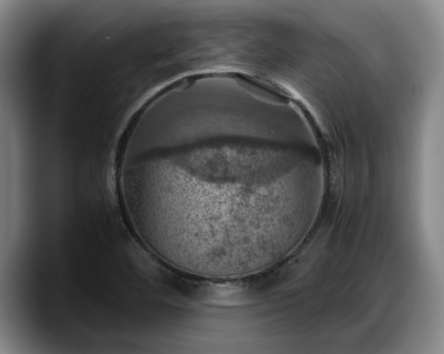 X0000090491460200707201528