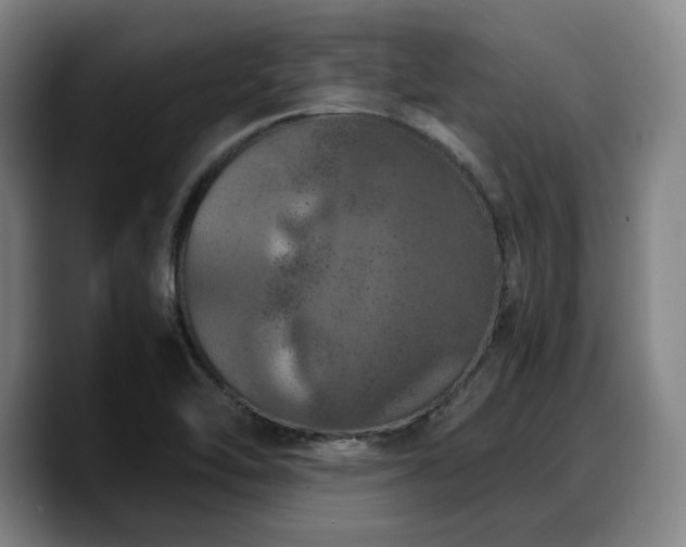 X0000090491462200707201528