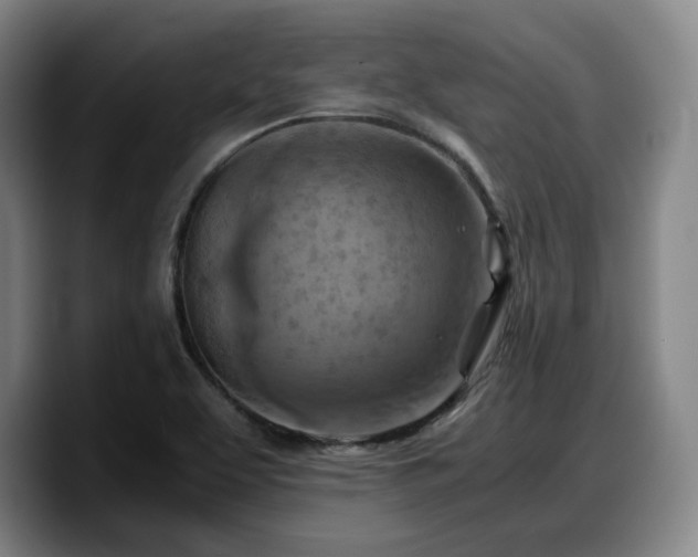 X0000090491463200707201528