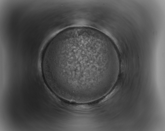 X0000090491464200707201528
