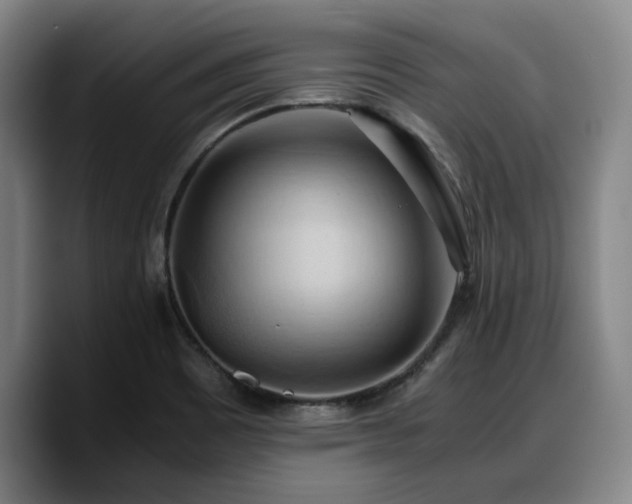 X0000090491465200707201528