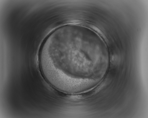 X0000090491466200707201528