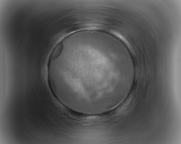 X0000090491467200707201528
