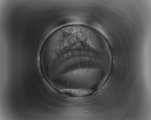 X0000090491468200707201528