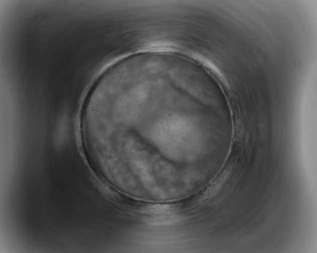 X0000090491470200707201528