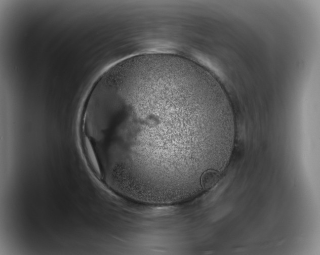 X0000090491471200707201528
