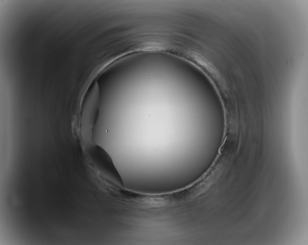 X0000090491473200707201528