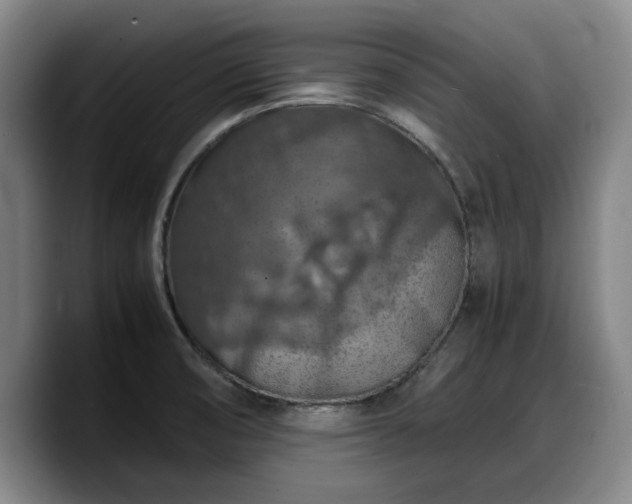 X0000090491474200707201528