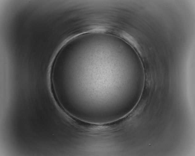 X0000090491475200707201528