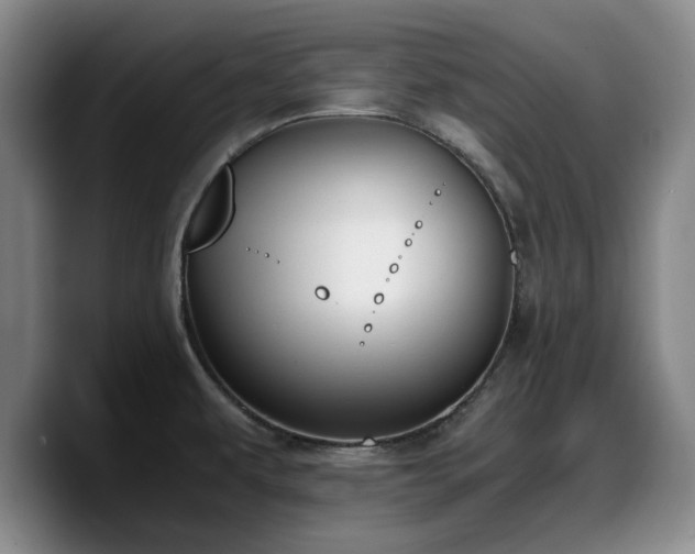 X0000090491479200707201528