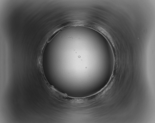 X0000090491481200707201528