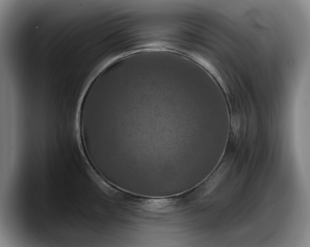 X0000090491482200707201528