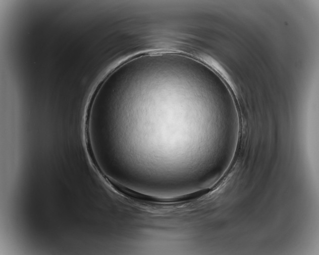 X0000090491485200707201528