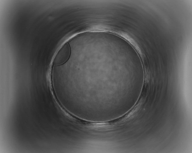 X0000090491486200707201528