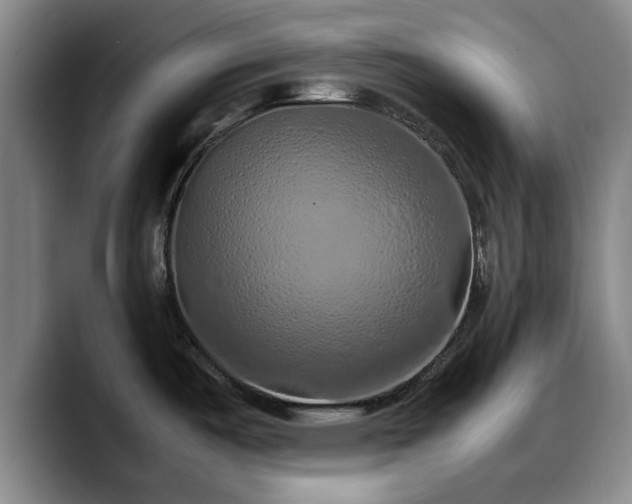 X0000090491487200707201528