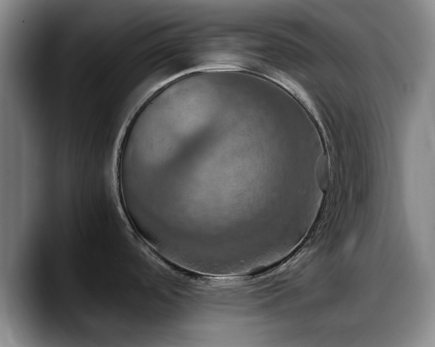 X0000090491488200707201528