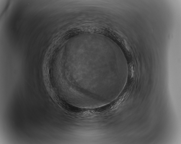 X0000090491489200707201528