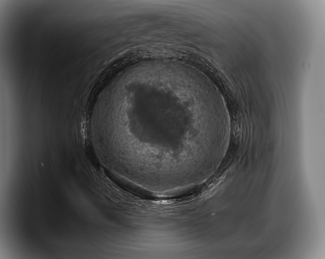 X0000090491490200707201528