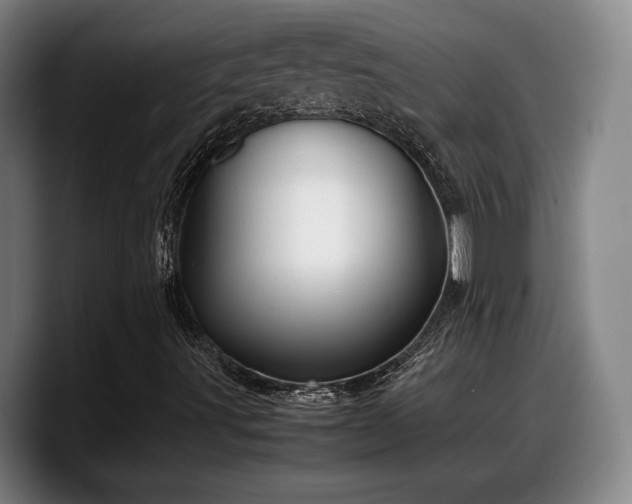 X0000090491491200707201528