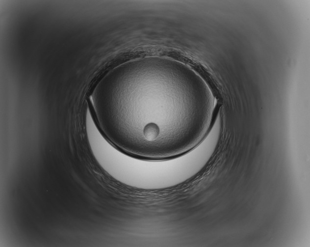 X0000090491492200707201528
