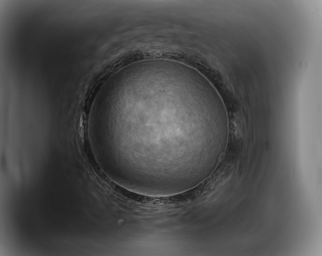 X0000090491493200707201528