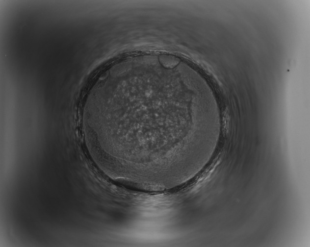 X0000090491494200707201528