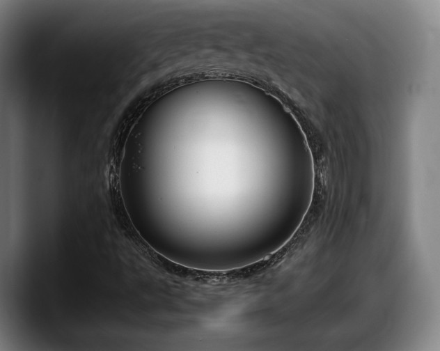 X0000090491495200707201528