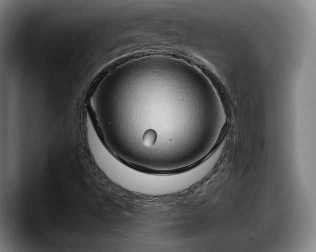 X0000090491496200707201528