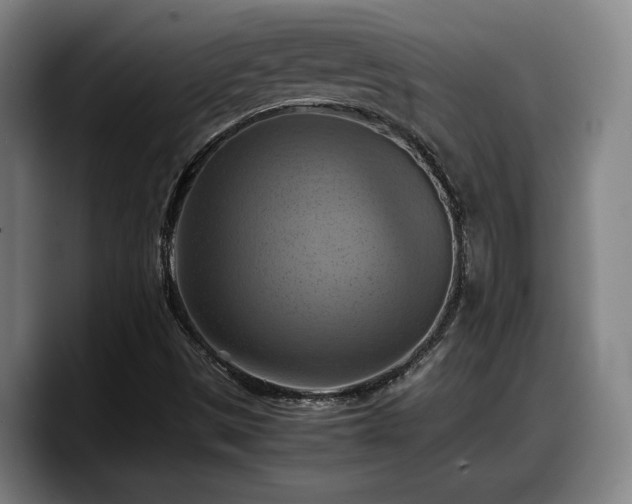 X0000090491497200707201528