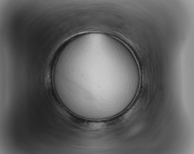X0000090491498200707201528
