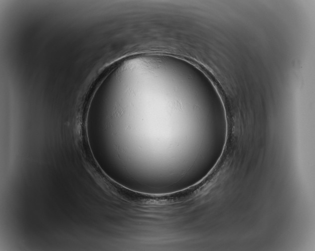 X0000090491499200707201528