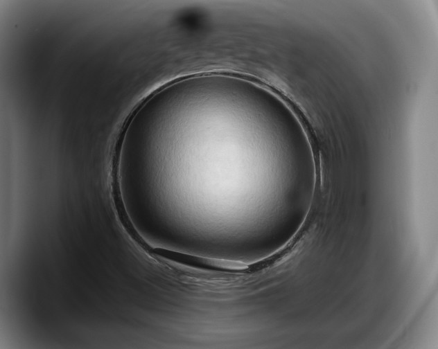X0000090491500200707201528