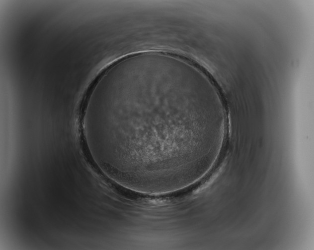 X0000090491501200707201528