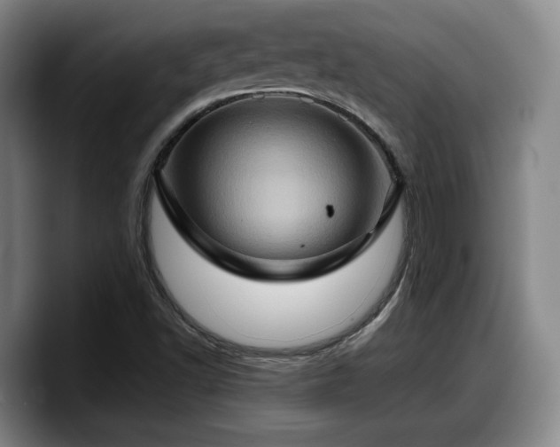 X0000090491502200707201528