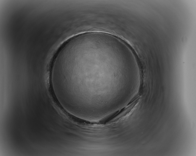 X0000090491503200707201528